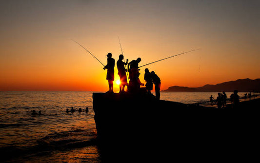 Cum să alegi lanterna de cap potrivită pentru pescuitul nocturn everbeam România